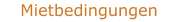Mietbedingungen
